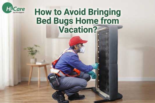 How to Avoid Bringing Bed Bugs Home from Vacation?