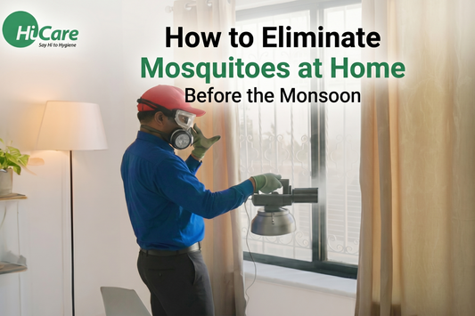 How to Eliminate Mosquitoes at Home Before the Monsoon