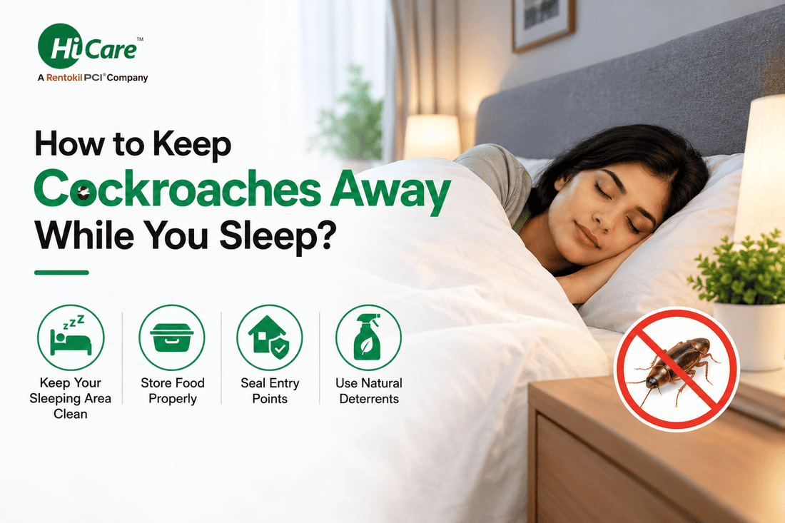 How to keep cockroaches away while you sleep – tips for a clean sleeping area, proper food storage, sealed entry points, and natural deterrents