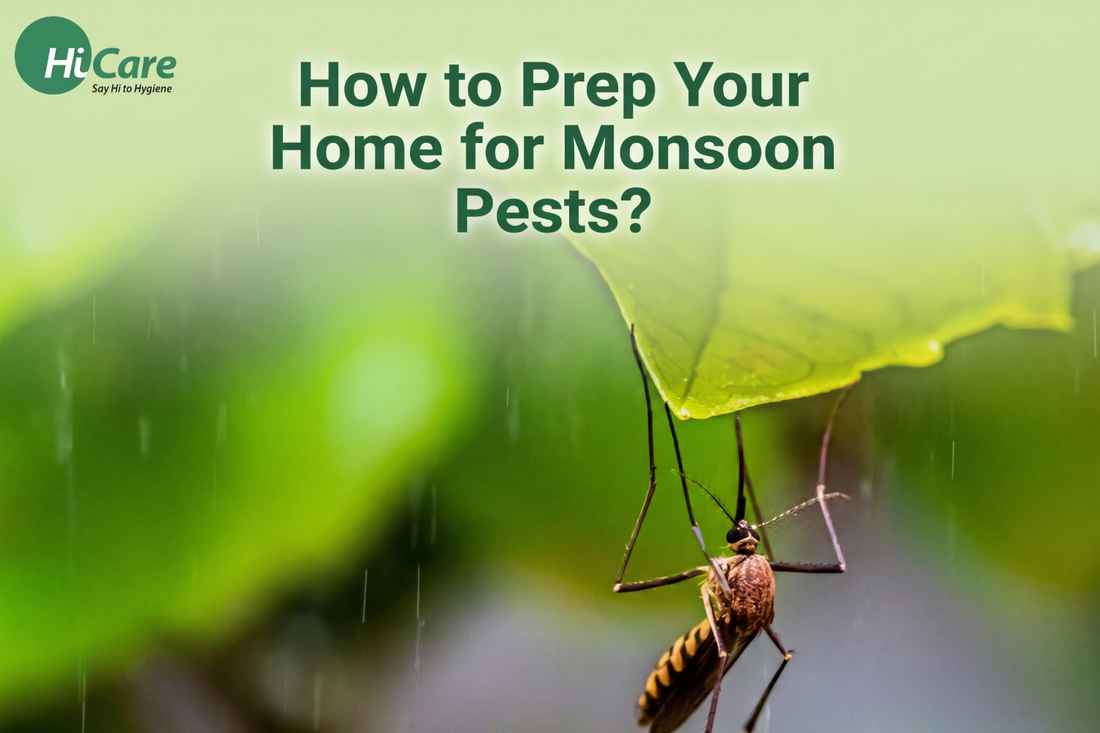 How to Prep Your Home for Monsoon Pests?
