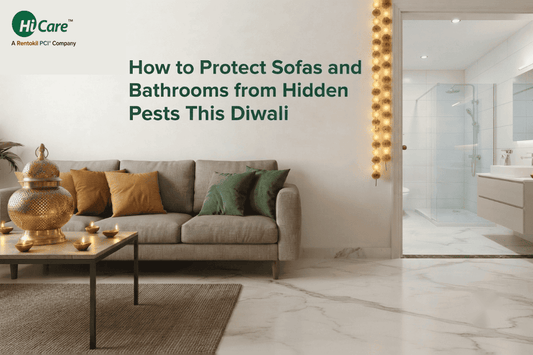 How to Protect Sofas and Bathrooms from Hidden Pests This Diwali