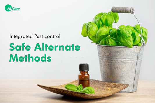 Integrated Pest control: Safe and Alternate Methods