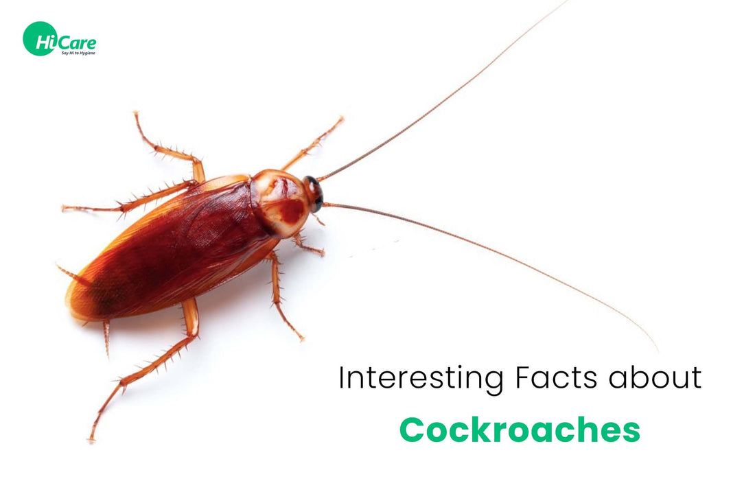 10 Interesting Facts about Cockroaches You Must Know
