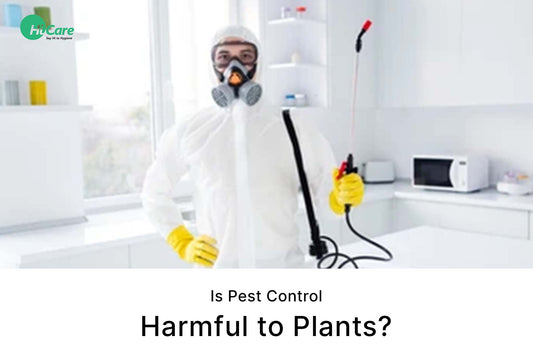Is Pest Control Harmful to Plants?