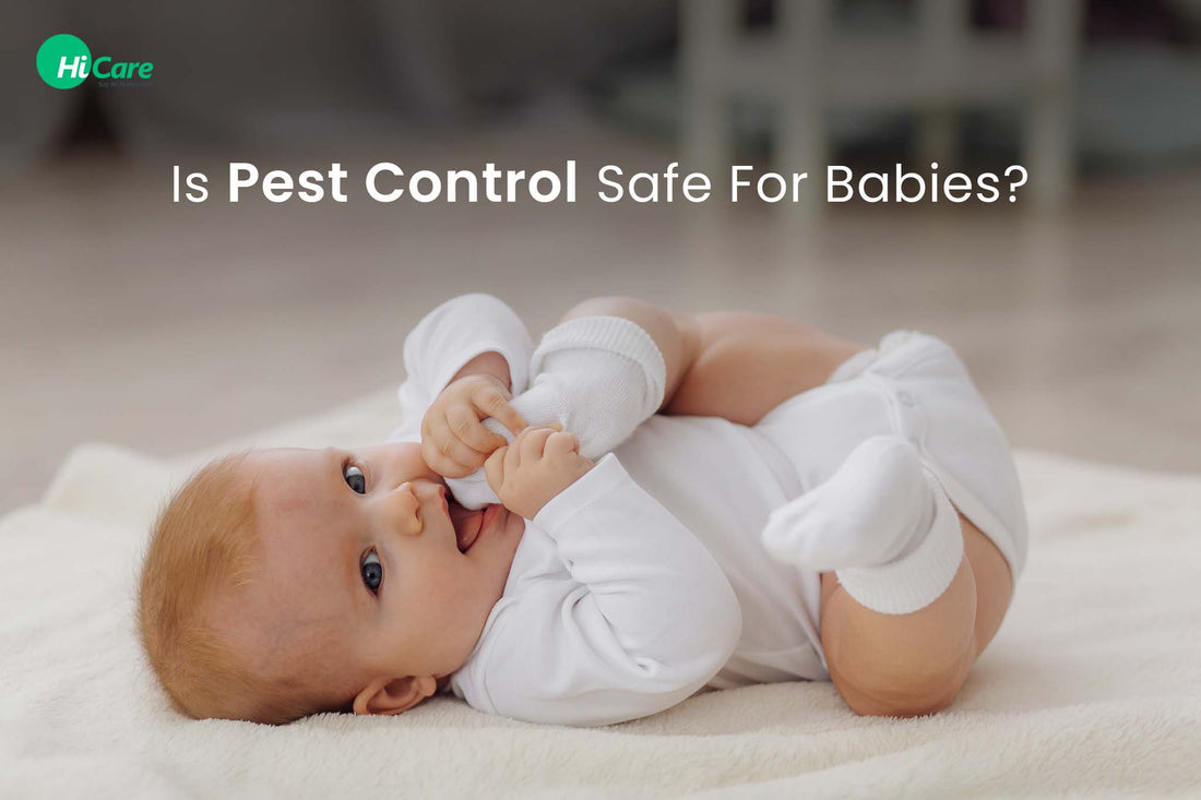 Is Pest Control Safe for Babies?