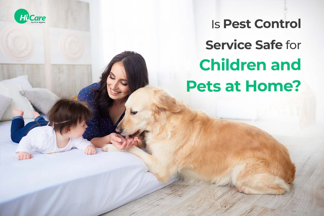 Is Pest Control Service Safe for Children and Pets at Home?