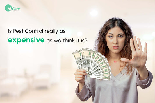 Is Pest Control Really as Expensive as We Think It Is?