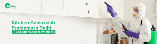 Kitchen Cockroach Problems in Delhi: DIY Solutions & Best Practices