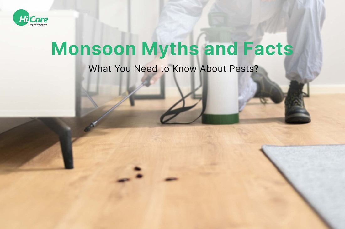 Monsoon Myths and Facts: What You Need to Know About Pests?