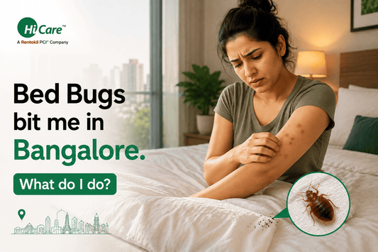 Bed bug bites in Bangalore and effective bed bug pest control solutions by HiCare