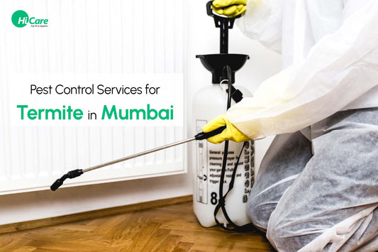 Pest Control Services for Termite in Mumbai - HiCare
