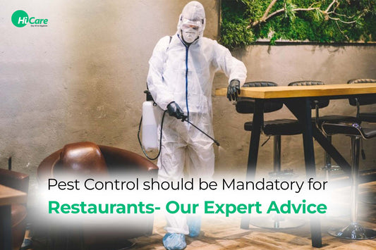Pest Control should be Mandatory for Restaurants- Our Expert Advice