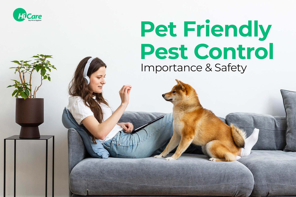 10 Important tips for Pet Friendly Pest Control | HiCare – HiCare (A ...