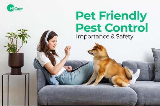 Pet Friendly Pest Control- Importance And Safety