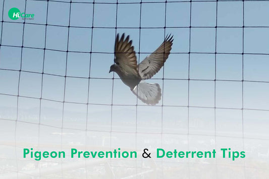 Pigeon Prevention And Deterrent Tips