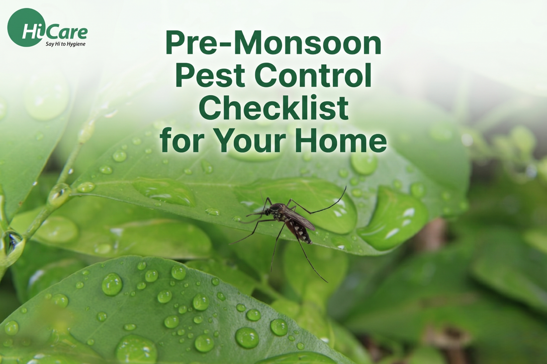 Pre-Monsoon Pest Control Checklist for Your Home