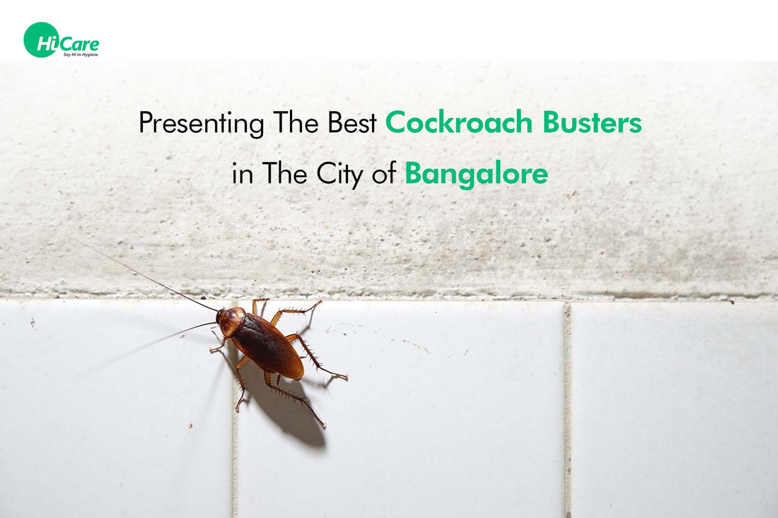 Presenting The Best Cockroach Busters in The City of Bangalore