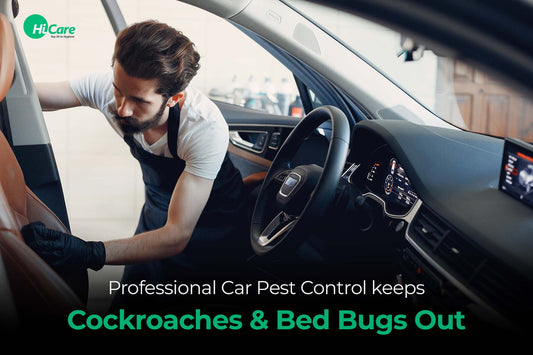 Professional Car Pest Control keeps Cockroaches & Bed Bugs Out
