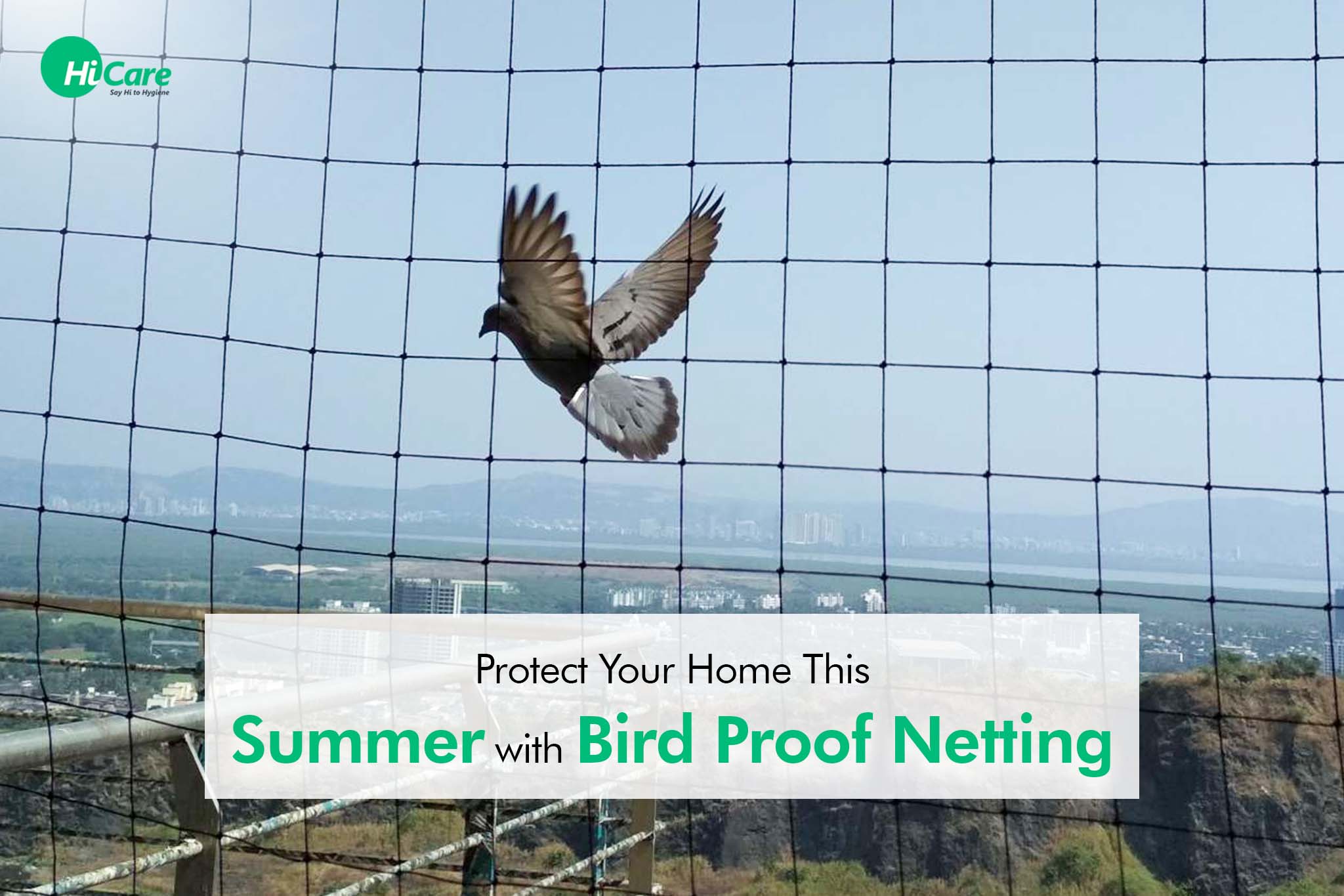 Top 4 Benefits of Summer Bird Netting | HiCare – HiCare (A Rentokil PCI ...