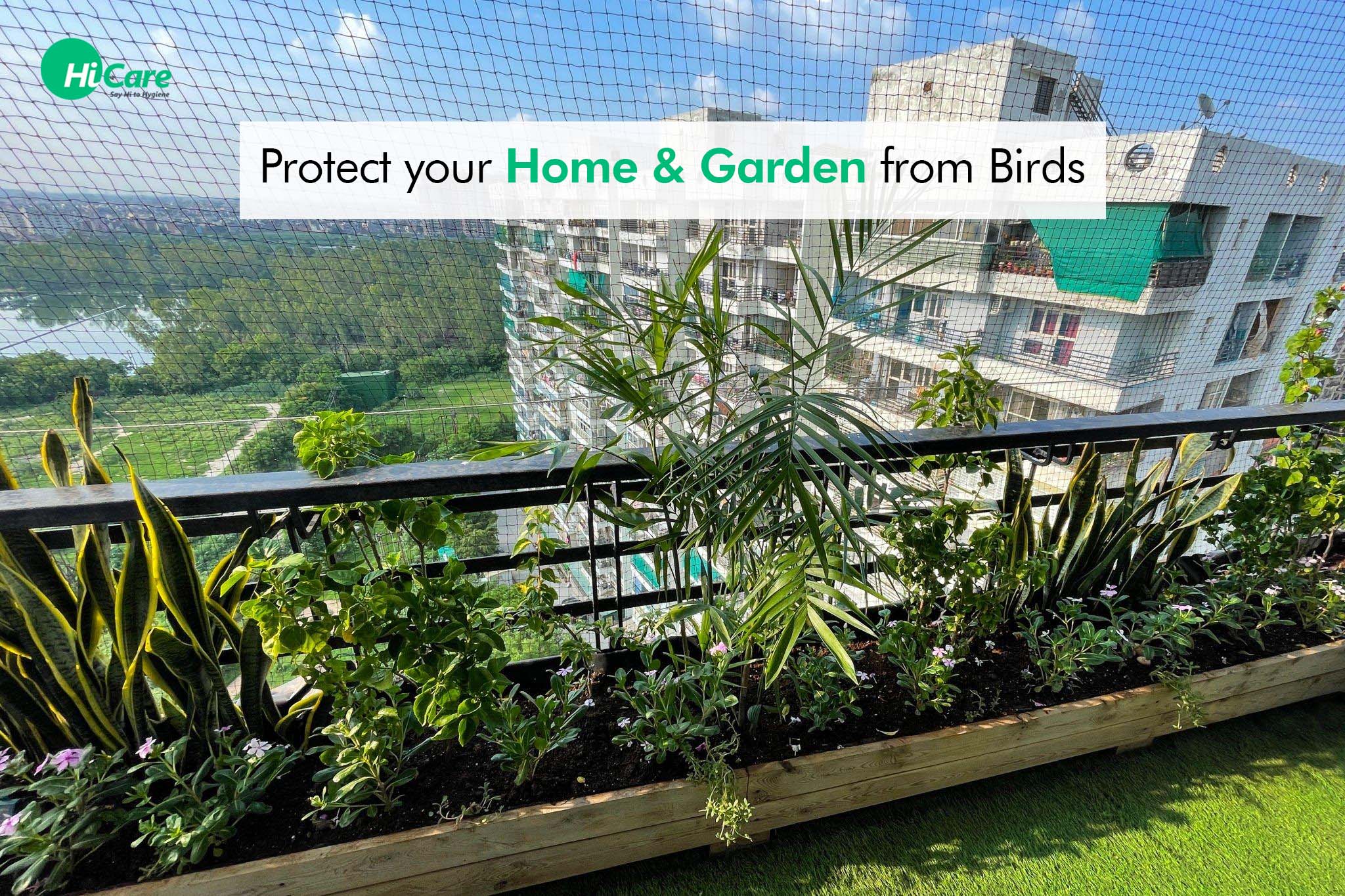 How to keep birds away from house : Bird Netting – HiCare (A Rentokil ...