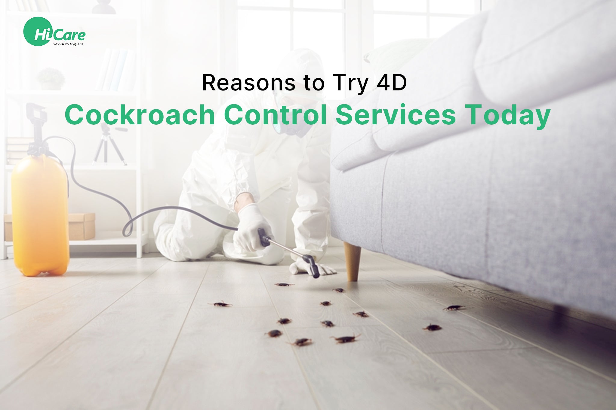 Top 7 Reasons to Choose 4D Cockroach Control Services – HiCare (A ...