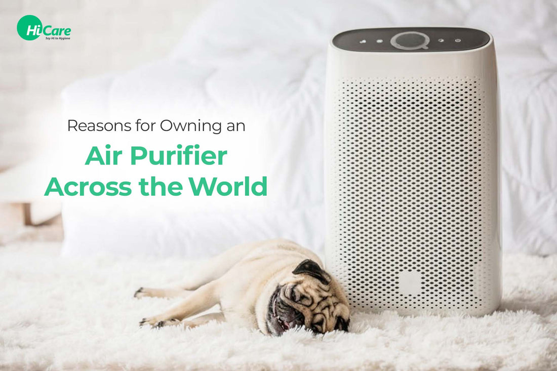 Reasons for Owning an Air Purifier Across the World