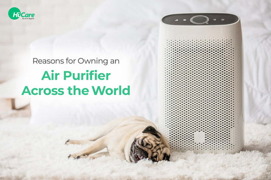 Reasons for Owning an Air Purifier Across the World