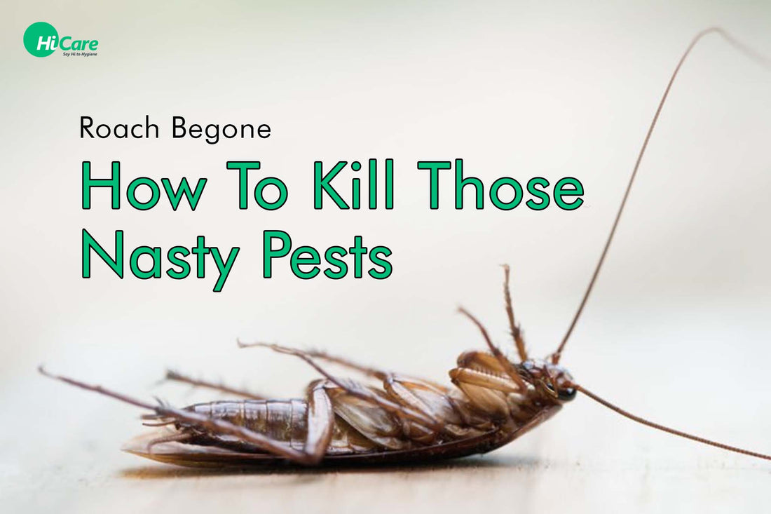 Roach Begone: How To Kill Those Nasty Pests