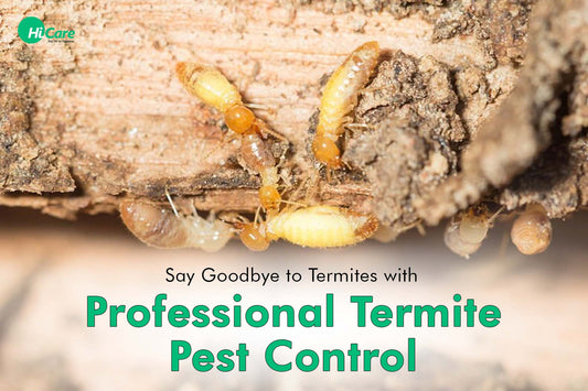 Say Goodbye to Termites with Professional Termite Pest Control