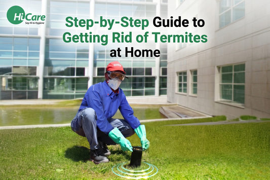 Step-by-Step Guide to Getting Rid of Termites at Home