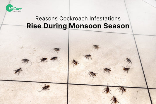 10 Reasons Cockroach Infestations Rise During Monsoon Season
