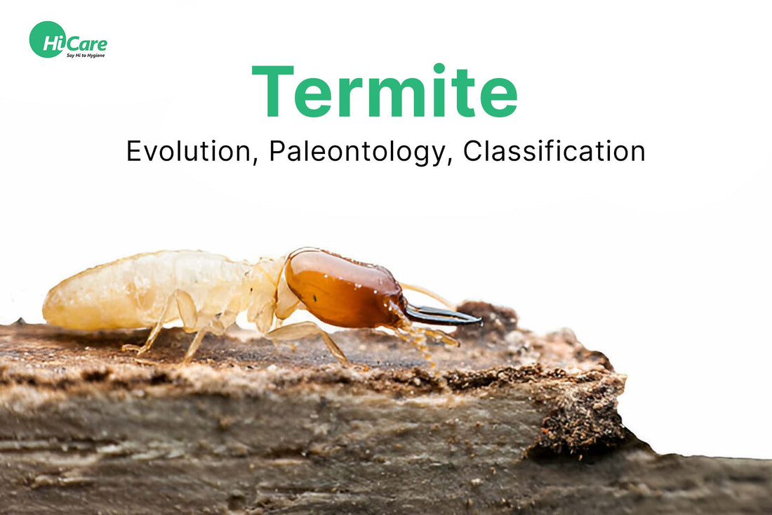 Termite - Evolution, Paleontology, Classification