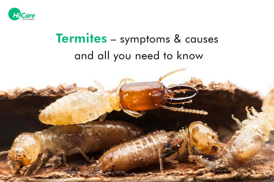 Termites Infestation: Symptoms, Causes and All That You Need to Know!