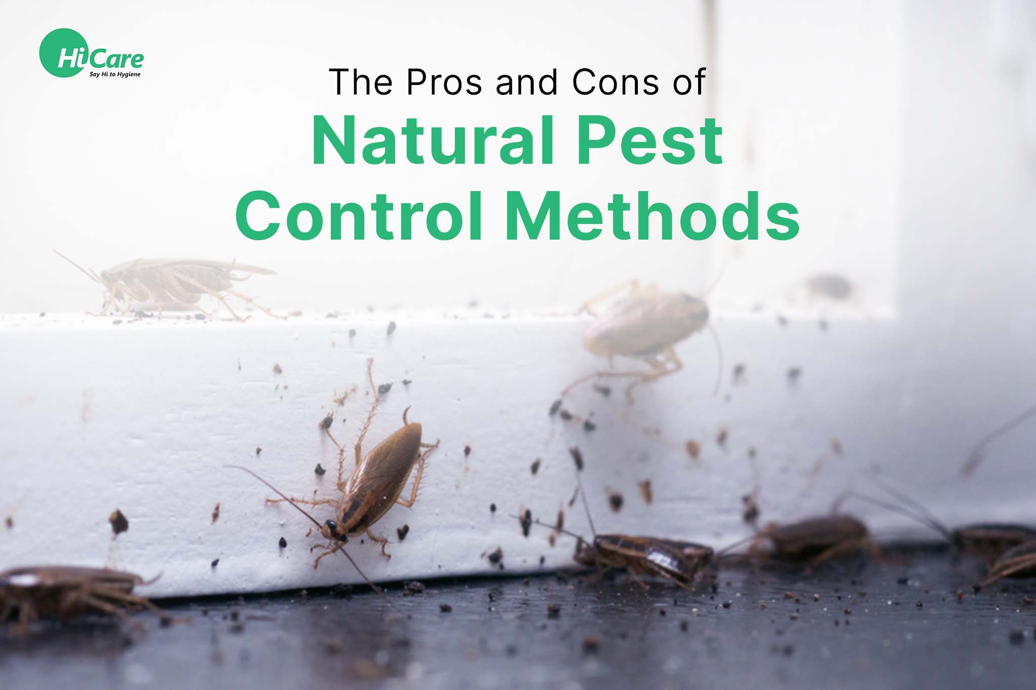 Pros and Cons of Natural Pest Control Methods | HiCare – HiCare (A ...