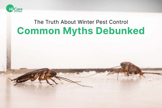 The Truth About Winter Pest Control: Common Myths Debunked