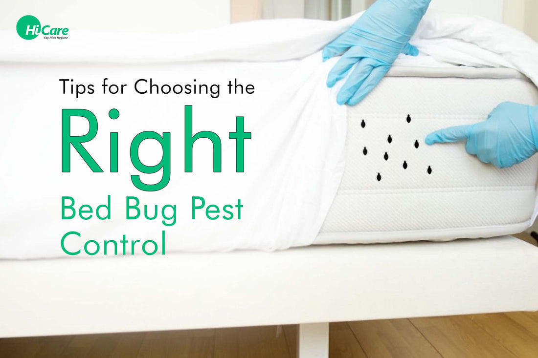 Tips for Choosing the Right Bed Bug Pest Control | HiCare
