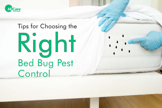 Tips for Choosing the Right Bed Bug Pest Control | HiCare