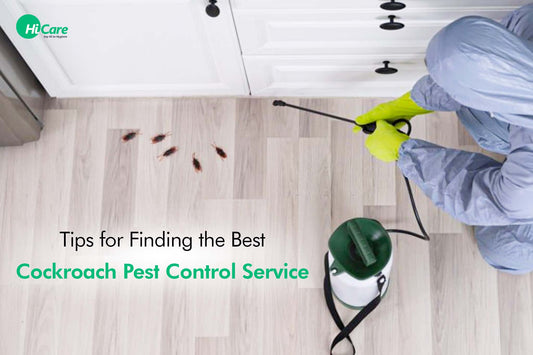 Tips for Finding the Best Cockroach Pest Control Service