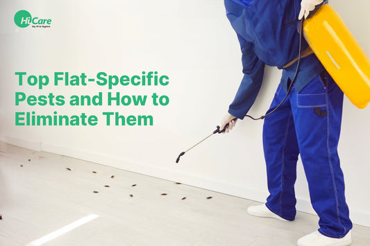 Top Flat-Specific Pests and How to Eliminate Them