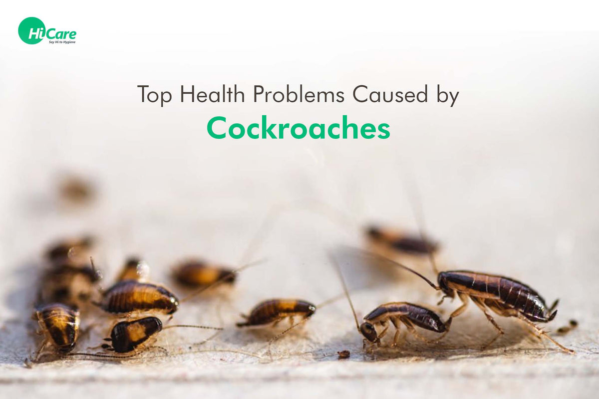 10 Major Health Problems Caused by Cockroaches in India | HiCare ...