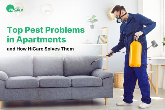 Top Pest Problems in Apartments and How HiCare Solves Them