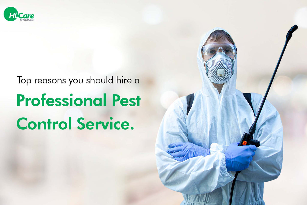Top 7 Reasons to Hire a Professional Pest Control Service | HiCare ...