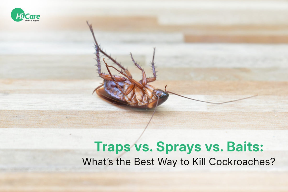 Traps vs. Sprays vs. Baits: What’s the Best Way to Kill Cockroaches?