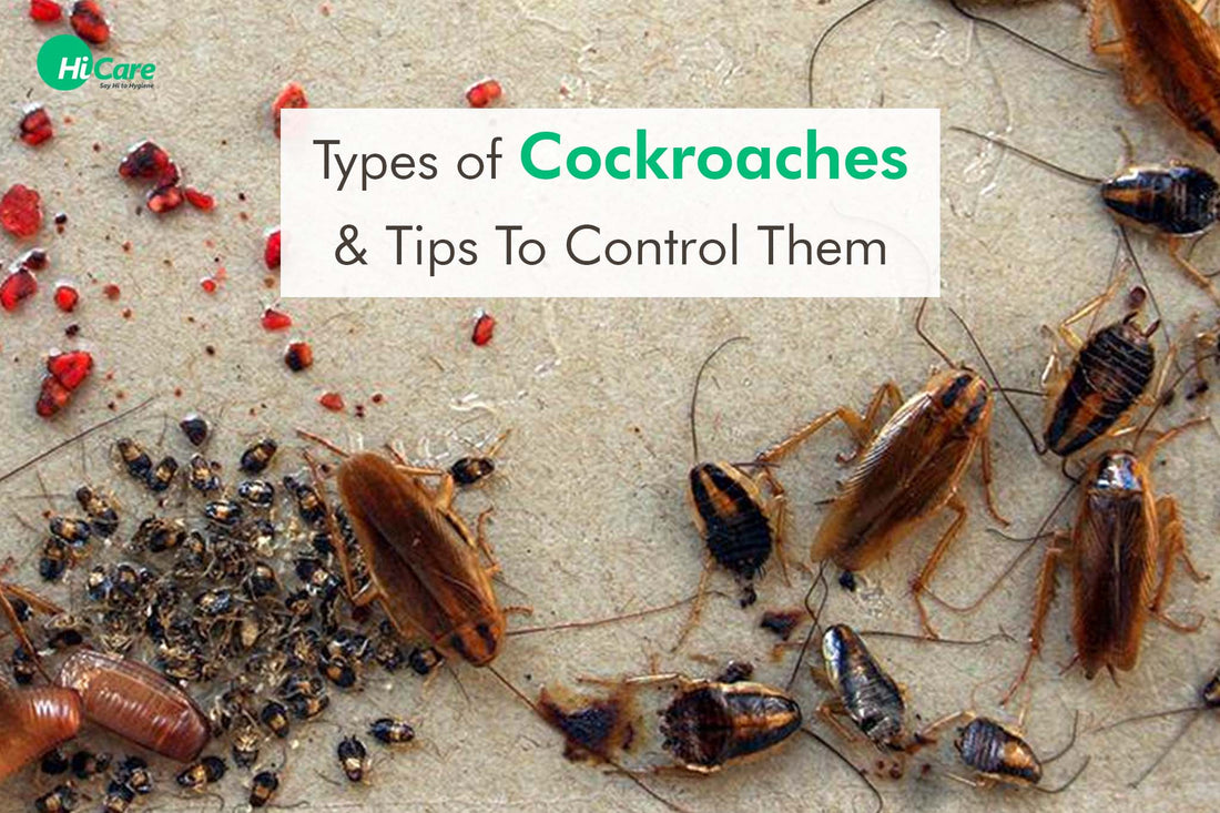 Types of Cockroaches And Tips To Control Them