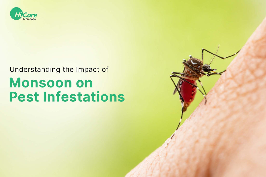 Understanding the Impact of Monsoon on Pest Infestations