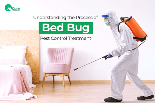 Understanding the Process of Bed Bug Pest Control Treatment