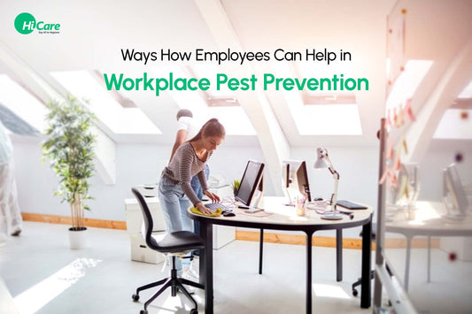 5 Ways How Employees Can Help in Workplace Pest Prevention