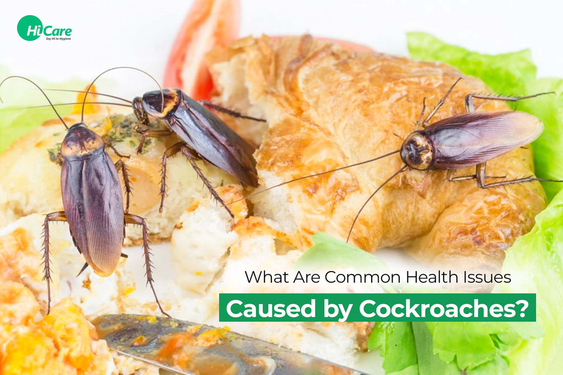 What Are Common Health Issues Caused by Cockroaches?