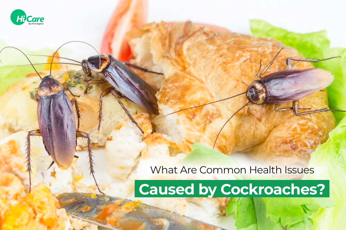 5 Health Issues Caused by Cockroaches & Best Prevention Tips – HiCare ...