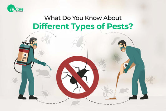 What Do You Know About Different Types of Pests?